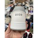 Dior B27 Oblique Galaxy Low Top Sneakers（D1)