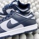 Nike Dunk Low Retro "Georgetown"（K05)