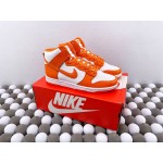 NK Dunk Hi（K46)02 