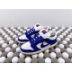 NK SB Dunk Low Pro PRM（K20)