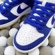 NK SB Dunk Low Pro PRM（K20)