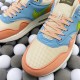 Nike Air Max 1(M04)