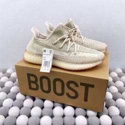 Adidas Yeezy Boost 350（Y06)