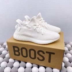 Adidas Yeezy Boost 350（Y09）