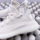 Adidas Yeezy Boost 350（Y09）