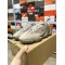 Adidas Yeezy 500 “Ash Grey”（Y67）